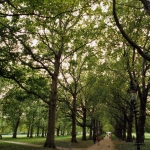 Green Park