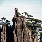 黃山一景