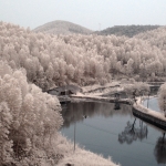 清明回鄉