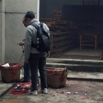 清明回鄉