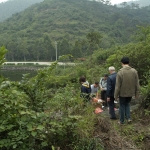 清明回鄉