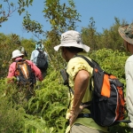 Tai Tun Shan