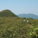 Tai Tun Shan