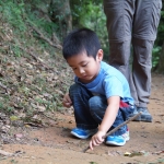 Eagle's Nest Nature Trail