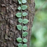 Eagle's Nest Nature Trail