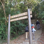 MacLehose Trail Stage 7