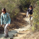 MacLehose Trail Stage 7