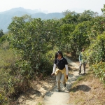 MacLehose Trail Stage 7