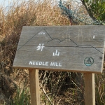 Needle Hill