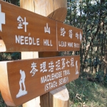 Needle Hill