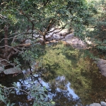 Shing Mun Country Park