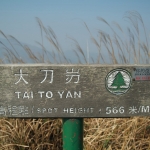 Tai To Yan