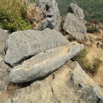 Shek Lung Tsai Stone Bushland