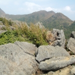 Shek Lung Tsai Stone Bushland