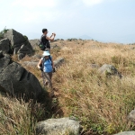 Shek Lung Tsai Stone Bushland