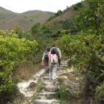 Lantau Peak