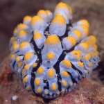 Puerto Galera