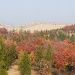 Beijing