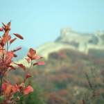 Beijing