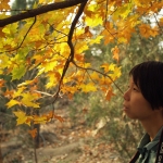 Beijing