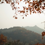 Beijing
