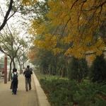 Beijing