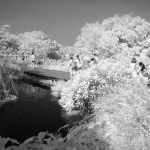 Wetland Park