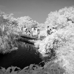 Wetland Park