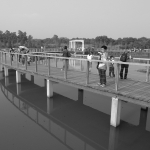 Wetland Park