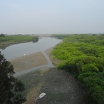 Wetland Park