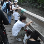 Wetland Park