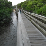 Wetland Park