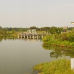 Wetland Park