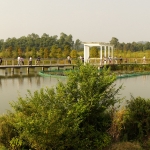 Wetland Park