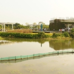 Wetland Park