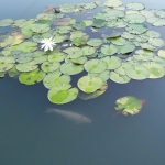 Tai Lam Chung Reservoir