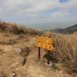 Fung Wong Shan (Lantau Peak)