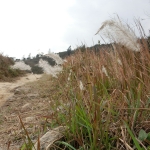 Fung Wong Shan (Lantau Peak)