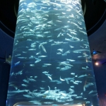 The Grand Aquarium