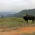 Tai Mo Shan