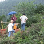 回鄉拜山