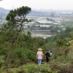 回鄉拜山