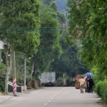 回鄉拜山