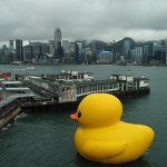 Giant yellow rubber duck