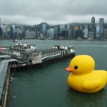 Giant yellow rubber duck