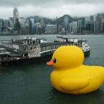 Giant yellow rubber duck