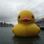 Giant yellow rubber duck