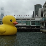 Giant yellow rubber duck