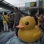 Giant yellow rubber duck