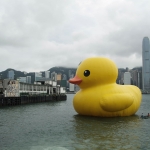 Giant yellow rubber duck